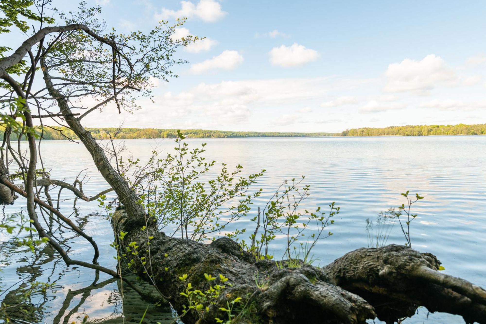 Budget Seezeit-Resort Am Werbellinsee Altenhof  Exteriér fotografie
